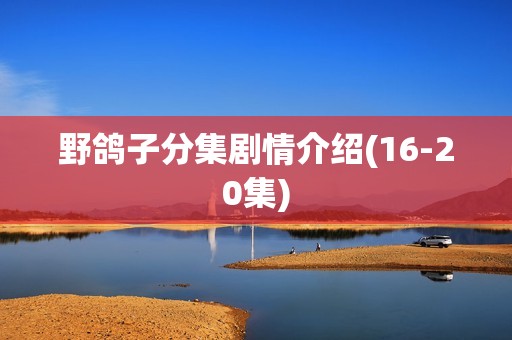 野鸽子分集剧情介绍(16-20集)