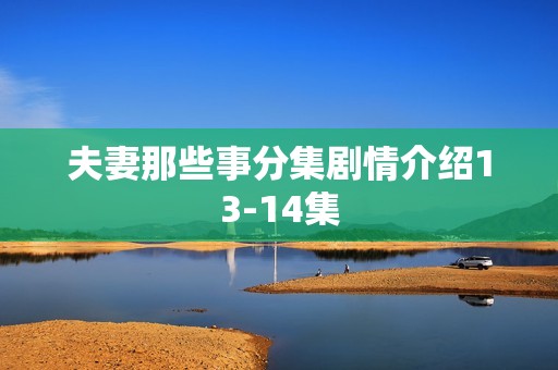夫妻那些事分集剧情介绍13-14集