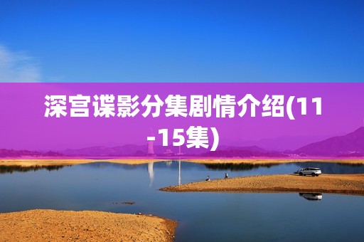 深宫谍影分集剧情介绍(11-15集)