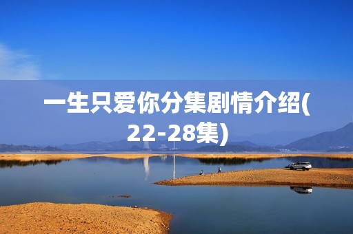 一生只爱你分集剧情介绍(22-28集)