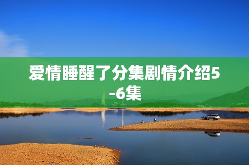 爱情睡醒了分集剧情介绍5-6集