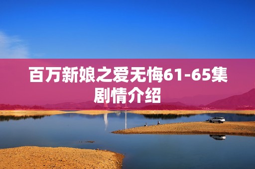 百万新娘之爱无悔61-65集剧情介绍