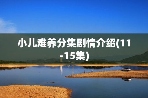 小儿难养分集剧情介绍(11-15集)