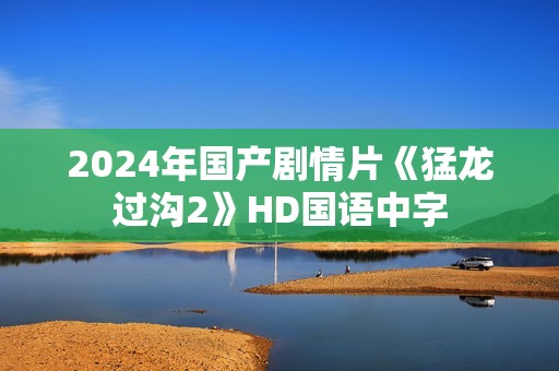 2024年国产剧情片《猛龙过沟2》HD国语中字