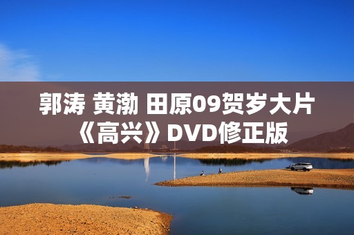 郭涛 黄渤 田原09贺岁大片《高兴》DVD修正版