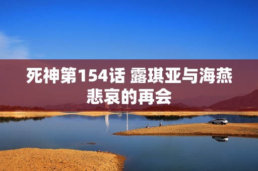 死神第154话 露琪亚与海燕悲哀的再会