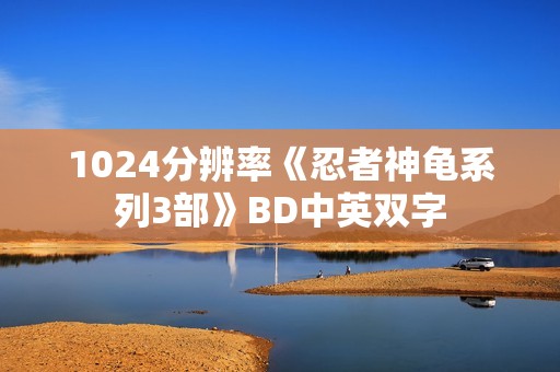 1024分辨率《忍者神龟系列3部》BD中英双字