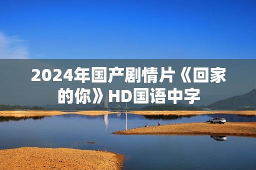 2024年国产剧情片《回家的你》HD国语中字