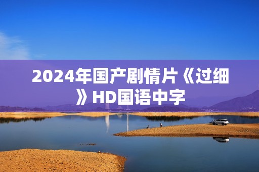2024年国产剧情片《过细》HD国语中字