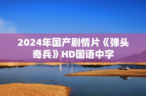 2024年国产剧情片《弹头奇兵》HD国语中字