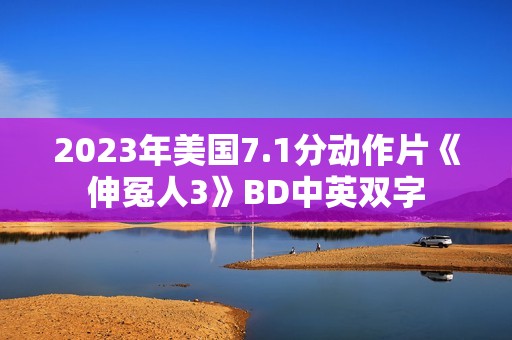 2023年美国7.1分动作片《伸冤人3》BD中英双字