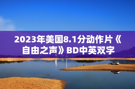 2023年美国8.1分动作片《自由之声》BD中英双字