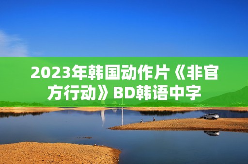 2023年韩国动作片《非官方行动》BD韩语中字