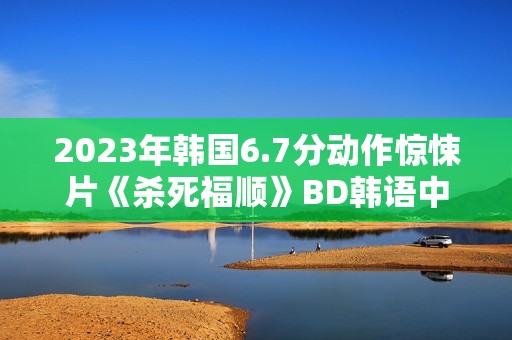 2023年韩国6.7分动作惊悚片《杀死福顺》BD韩语中字