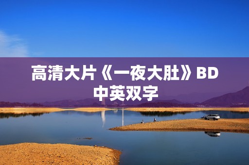 高清大片《一夜大肚》BD中英双字