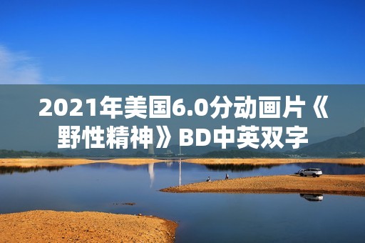 2021年美国6.0分动画片《野性精神》BD中英双字