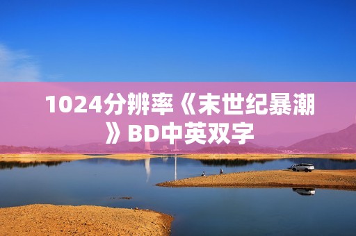 1024分辨率《末世纪暴潮》BD中英双字