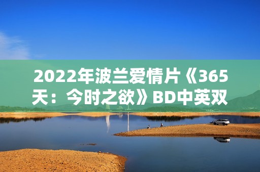 2022年波兰爱情片《365天：今时之欲》BD中英双字