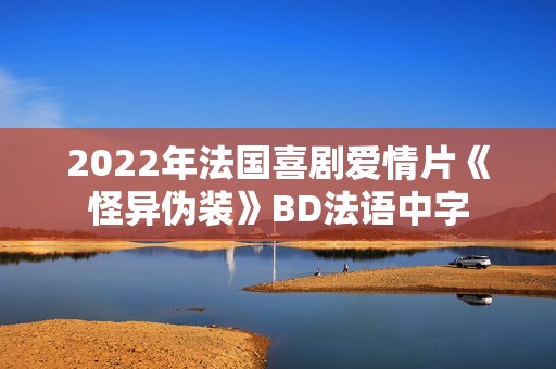 2022年法国喜剧爱情片《怪异伪装》BD法语中字