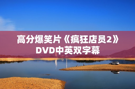 高分爆笑片《疯狂店员2》DVD中英双字幕