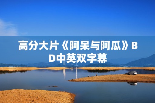 高分大片《阿呆与阿瓜》BD中英双字幕