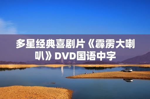 多星经典喜剧片《霹雳大喇叭》DVD国语中字