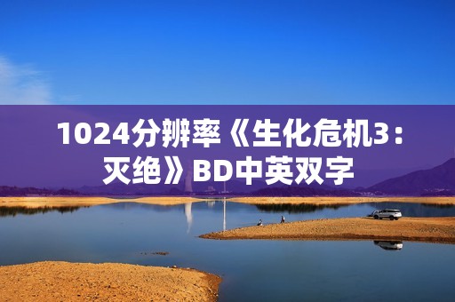 1024分辨率《生化危机3：灭绝》BD中英双字