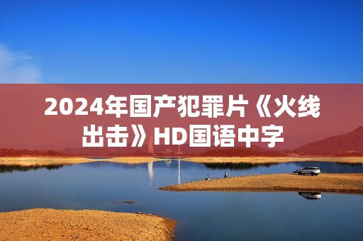 2024年国产犯罪片《火线出击》HD国语中字