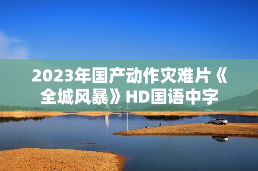 2023年国产动作灾难片《全城风暴》HD国语中字