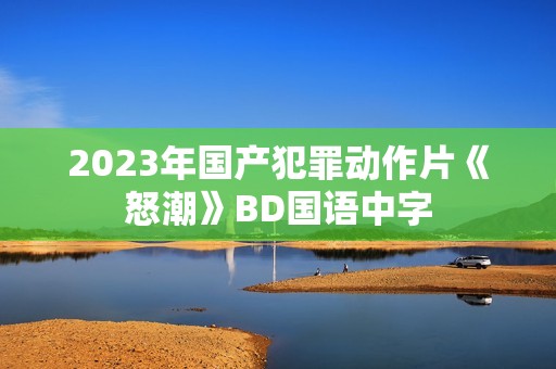 2023年国产犯罪动作片《怒潮》BD国语中字