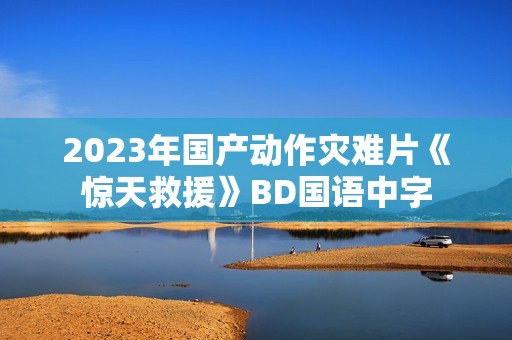 2023年国产动作灾难片《惊天救援》BD国语中字