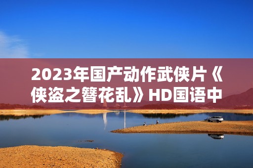 2023年国产动作武侠片《侠盗之簪花乱》HD国语中字