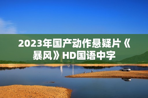 2023年国产动作悬疑片《暴风》HD国语中字 2023年国产动作悬疑片《暴风》HD国语中字