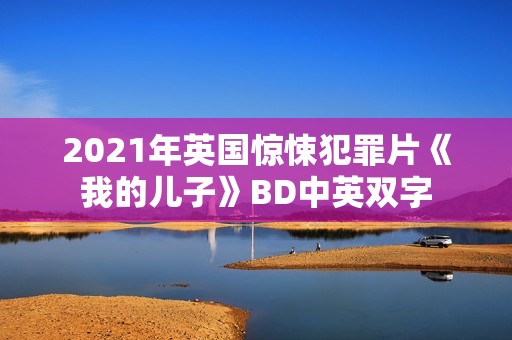2021年英国惊悚犯罪片《我的儿子》BD中英双字