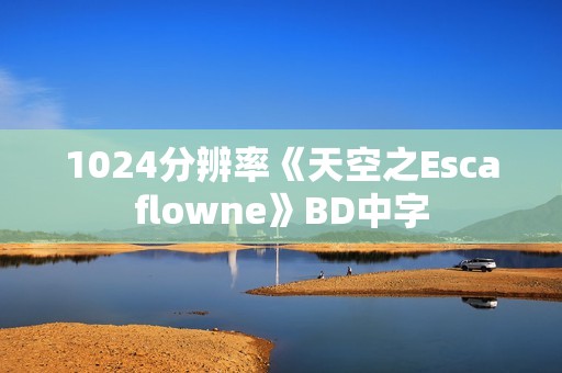 1024分辨率《天空之Escaflowne》BD中字