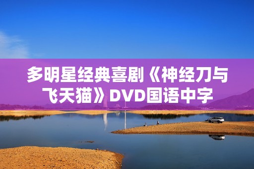 多明星经典喜剧《神经刀与飞天猫》DVD国语中字