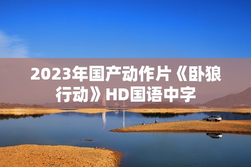 2023年国产动作片《卧狼行动》HD国语中字