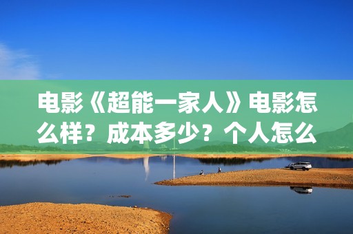 电影《超能一家人》电影怎么样？成本多少？个人怎么参与？(超能一家人百度百科)