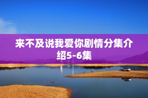 来不及说我爱你剧情分集介绍5-6集