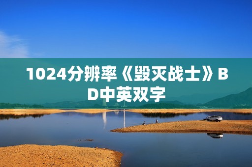 1024分辨率《毁灭战士》BD中英双字