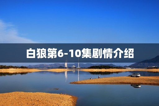 白狼第6-10集剧情介绍