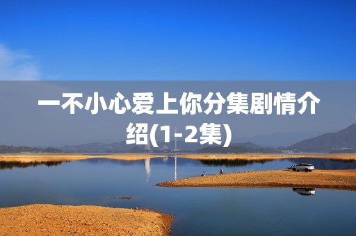 一不小心爱上你分集剧情介绍(1-2集)