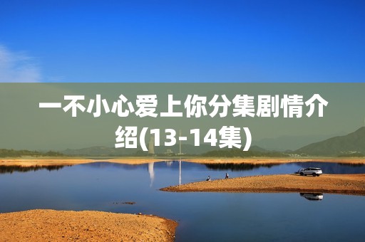 一不小心爱上你分集剧情介绍(13-14集)