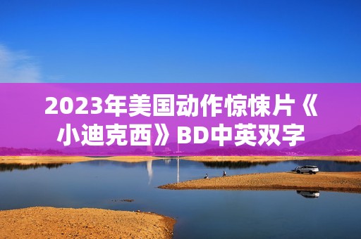 2023年美国动作惊悚片《小迪克西》BD中英双字