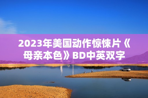2023年美国动作惊悚片《母亲本色》BD中英双字