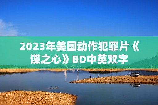 2023年美国动作犯罪片《谍之心》BD中英双字