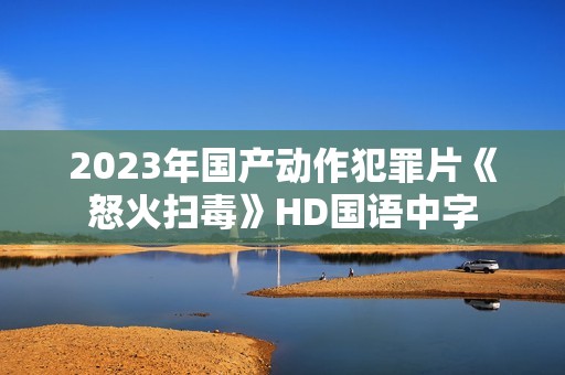 2023年国产动作犯罪片《怒火扫毒》HD国语中字