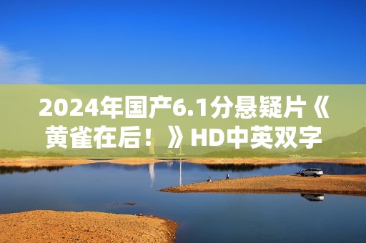 2024年国产6.1分悬疑片《黄雀在后！》HD中英双字