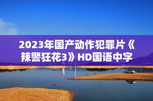 2023年国产动作犯罪片《辣警狂花3》HD国语中字