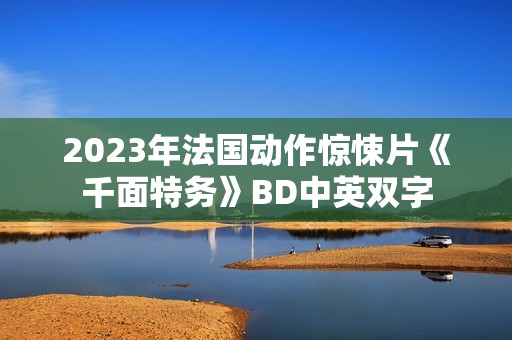 2023年法国动作惊悚片《千面特务》BD中英双字